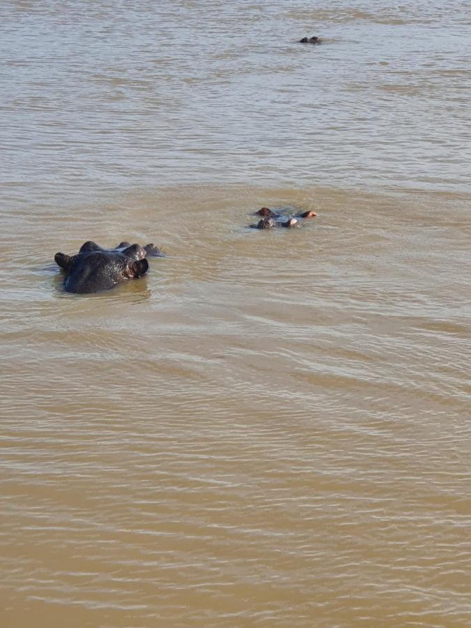 شقة Unit 30 The Bridge - Family Unit In A Prime Spot On The Ground Floor Saint Lucia Estuary المظهر الخارجي الصورة